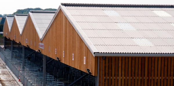 Hereford Livestock Market, England