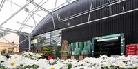 Eskrine Garden Centre, Scotland