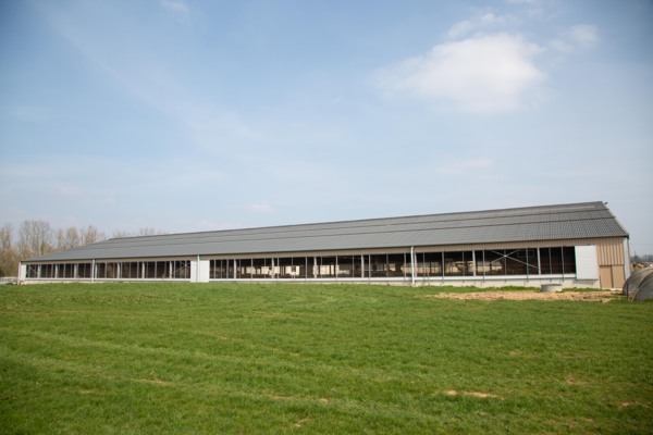 Dairy shed