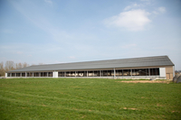 Dairy shed