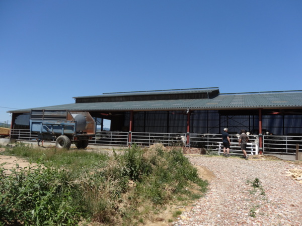 Dairy shed