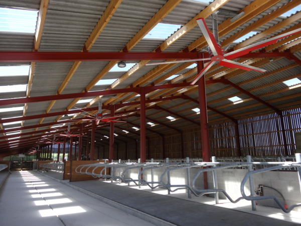 Dairy shed
