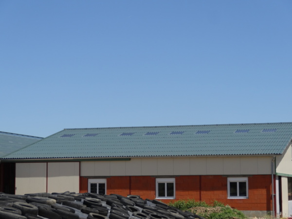 Dairy shed