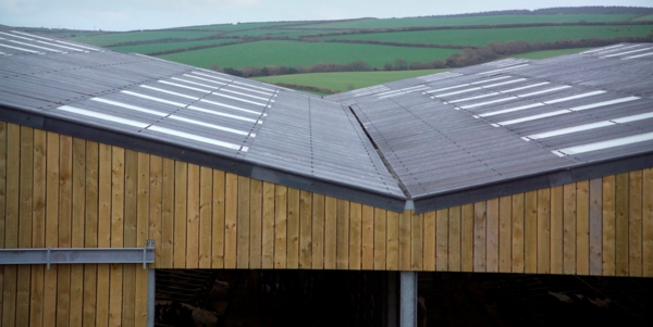 Pawton Dairy, Wadebridge