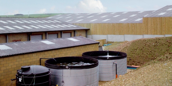 Pawton Dairy, Wadebridge
