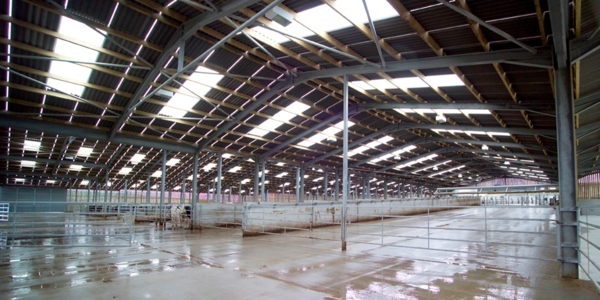 Pawton Dairy, Wadebridge